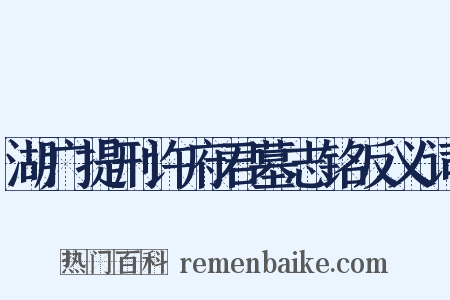 湖广提刑许府君墓志铭反义词是什么意思的图片